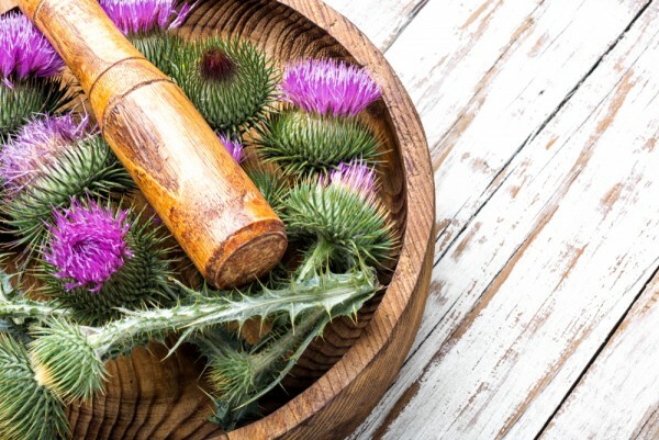 La primavera es buena para el hgado, desintoxica el cuerpo
