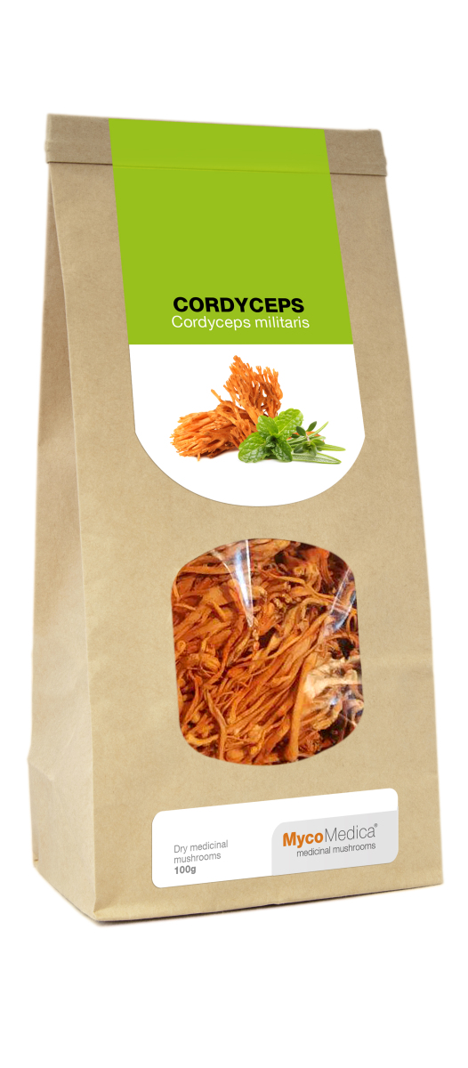 Cordyceps secos