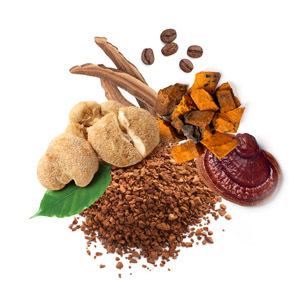 hower-mycocoffee.jpg