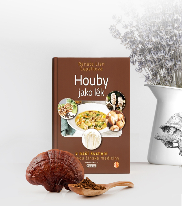 Houby jako lék