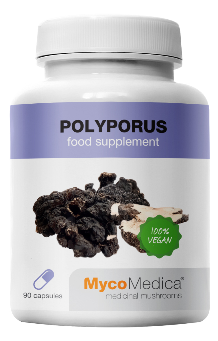 polyporus-vegan.jpg