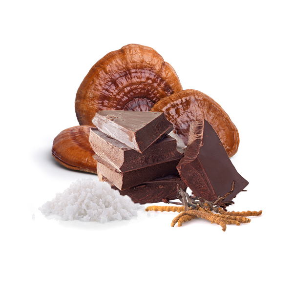 Chocolate de invierno con Cordyceps, Reishi y sal